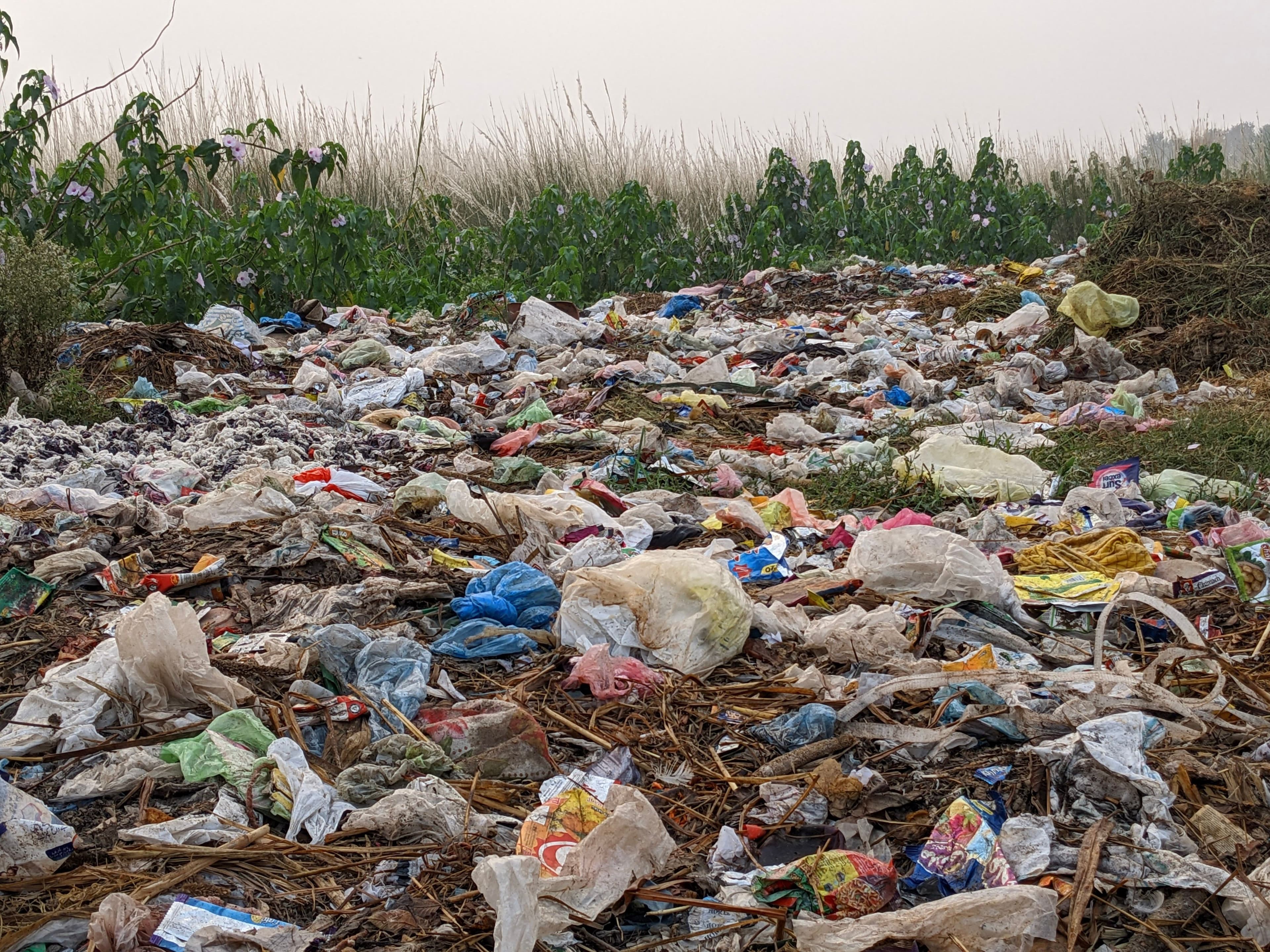 Plastic Pollution Explained