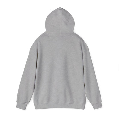 Multi-Stan Era Hoodie | K-pop stan, bias wrecker, maknae selca