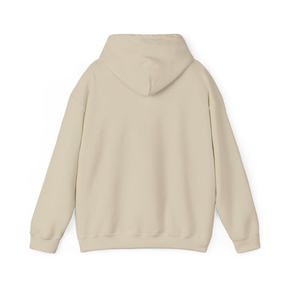 Multi-Stan Era Hoodie | K-pop stan, bias wrecker, maknae selca