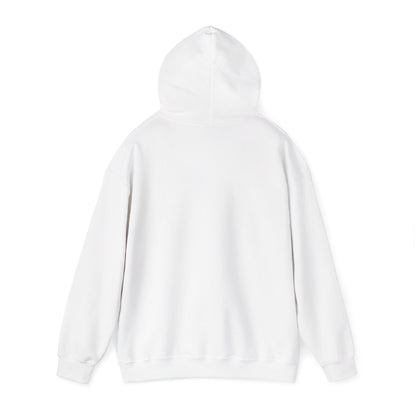 Multi-Stan Era Hoodie | K-pop stan, bias wrecker, maknae selca