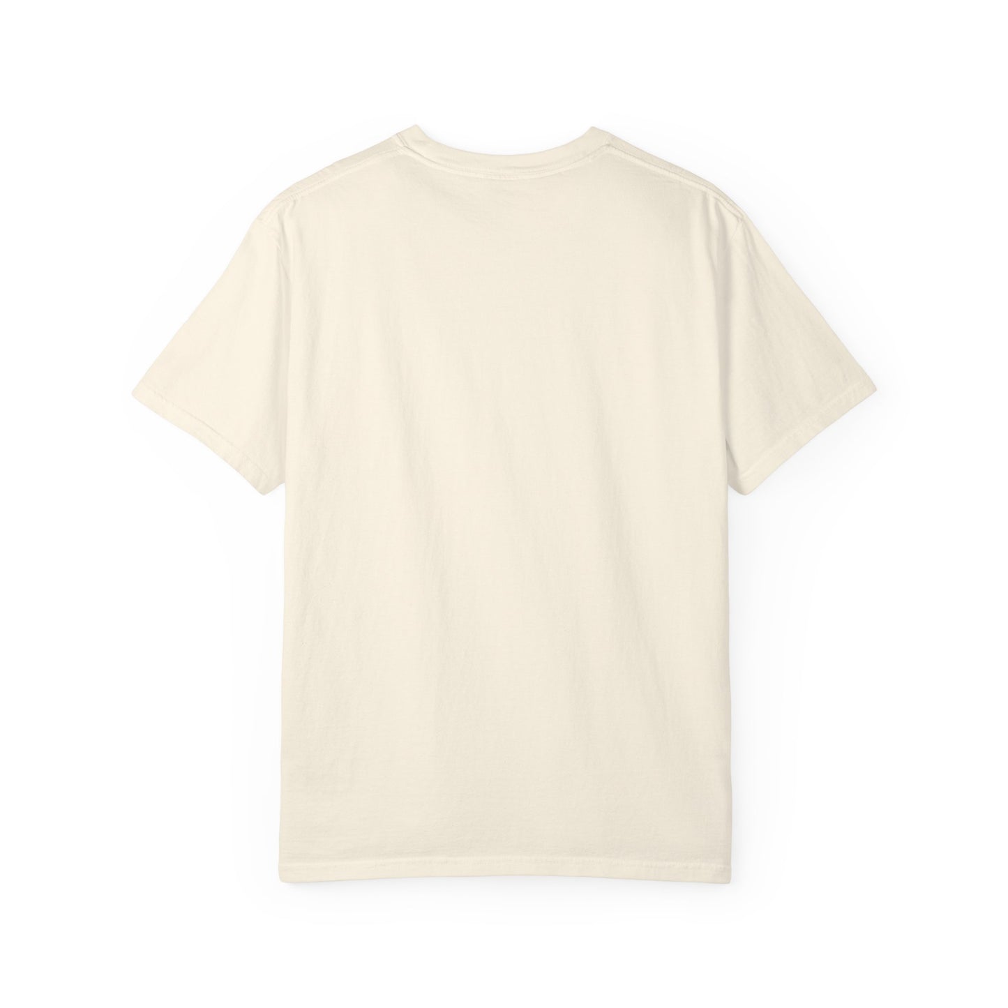 Begin Anyway Mountain T-Shirt — Inspirational Adventure Graphic Tee