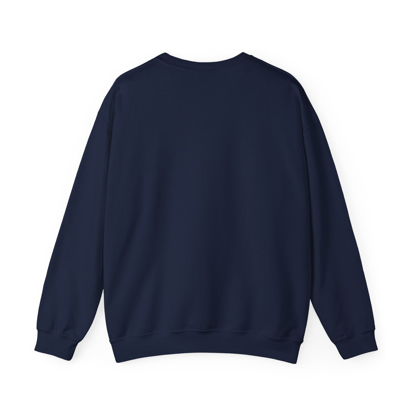 Multi-Stan Era Sweatshirt | K-pop stan, bias wrecker, fanchant-ready