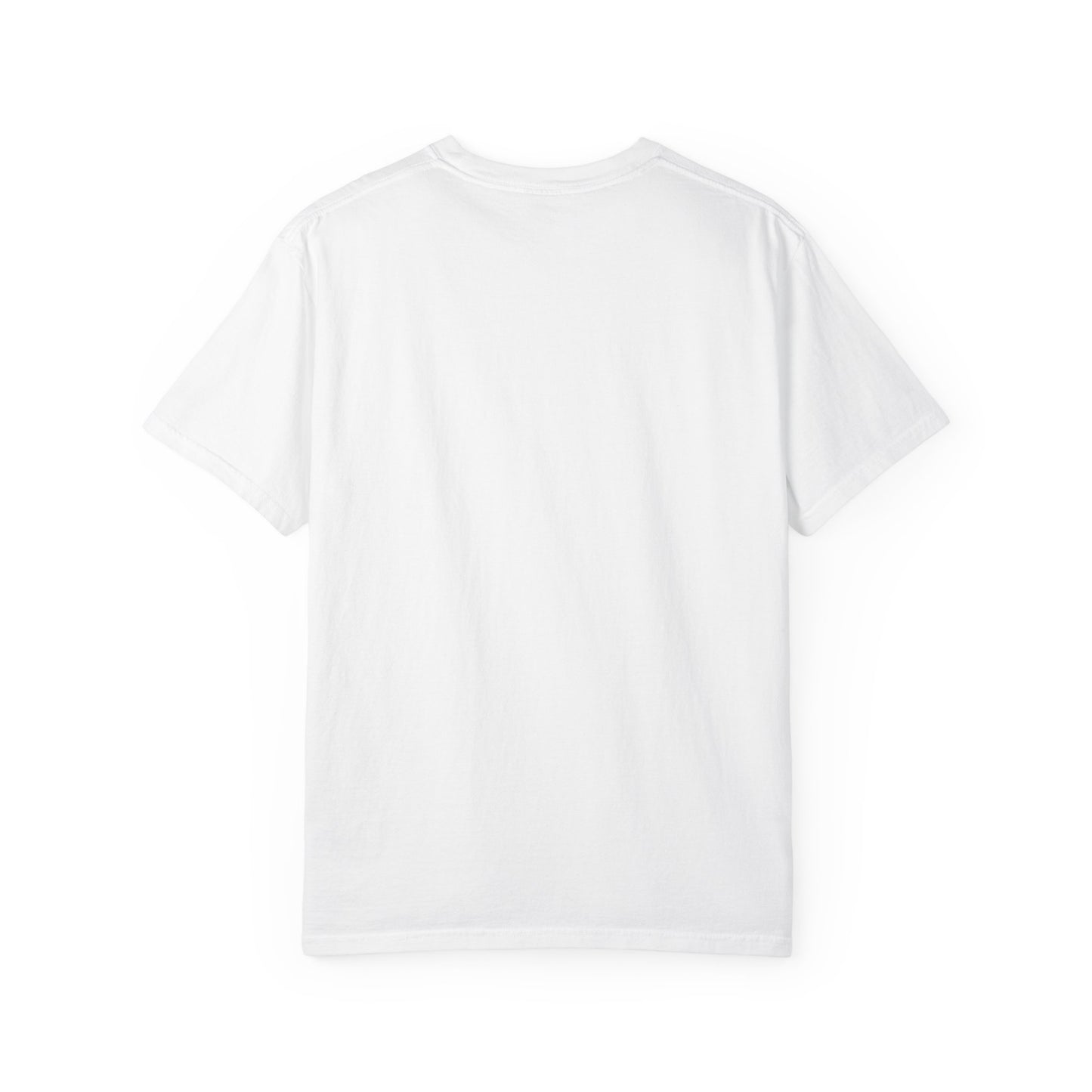 Begin Anyway Mountain T-Shirt — Inspirational Adventure Graphic Tee