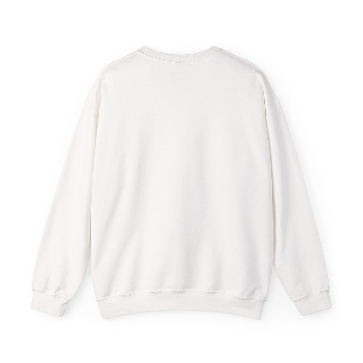 Multi-Stan Era Sweatshirt | K-pop stan, bias wrecker, fanchant-ready