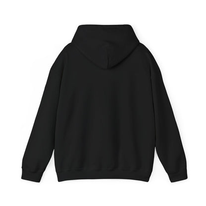 Multi-Stan Era Hoodie | K-pop stan, bias wrecker, maknae selca