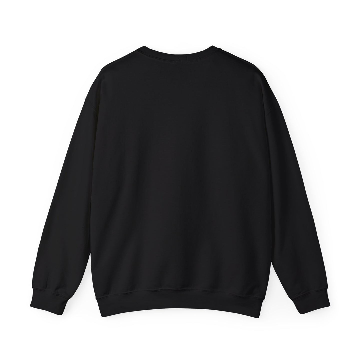 Multi-Stan Era Sweatshirt | K-pop stan, bias wrecker, fanchant-ready