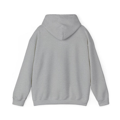 Multi-Stan Era Hoodie | K-pop stan, bias wrecker, maknae selca